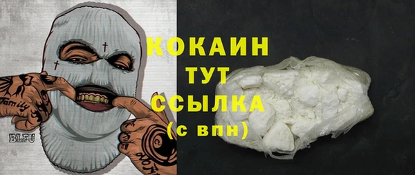 хмурый Аркадак