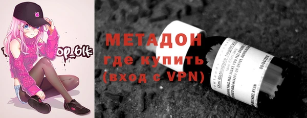 хмурый Аркадак