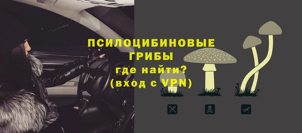 хмурый Аркадак