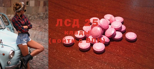 хмурый Аркадак