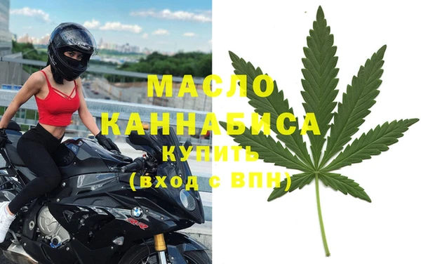 хмурый Аркадак