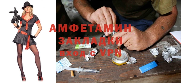 хмурый Аркадак