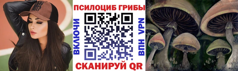 Псилоцибиновые грибы Magic Shrooms  блэк спрут онион  Сим  магазин продажи наркотиков 